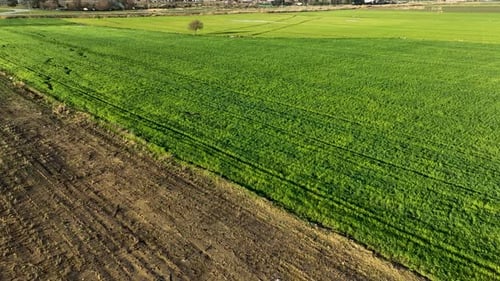 Farm Fields Background Texture