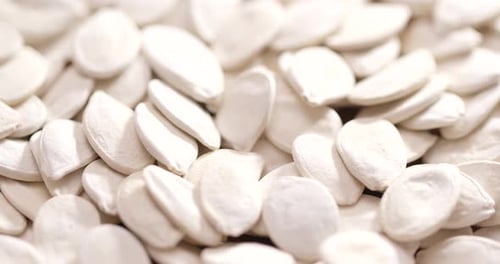 Pile of white Pumpkin Seeds