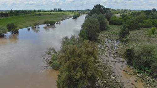 Overflow of the River in Spring Due To Global Warming Flooded Meadow