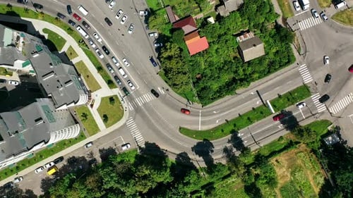 Cars driving on road. Traffic movement among green trees and modern buildings in the city.