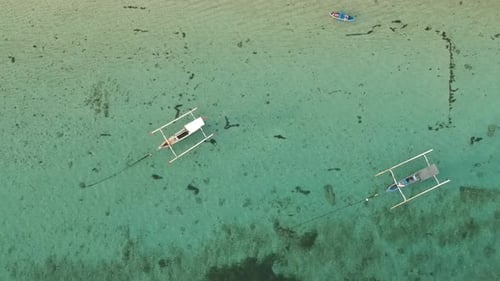 Beauty in nature Bali Indonesia