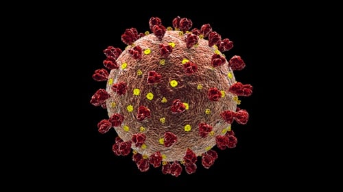 Animated 3D Virus Model with Alpha Channel for Medical Projects