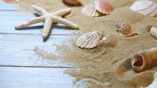 Muscheln und Seesterne auf blauem Holzuntergrund und Sand