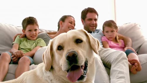 Family Relaxing on Couch with Dog at Home