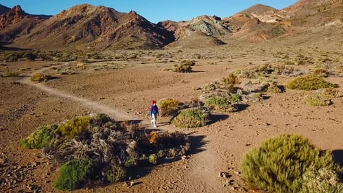 Aerial View of Active Hiker Woman Hiking on Teide National Park