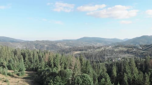 Mountain landscape. Mountain pine trees forest