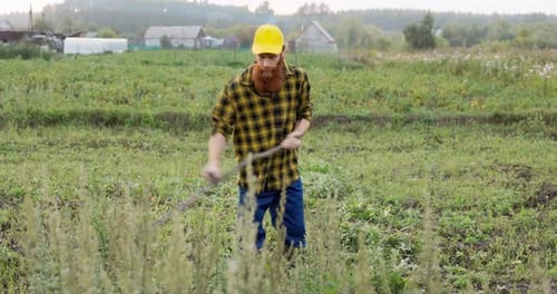 A Farmer with a Red Beard Mows the Grass on the Lawn
