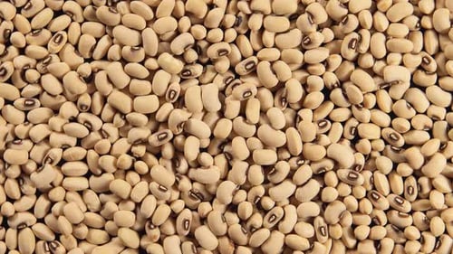 Close Up Of Black Eyed Peas