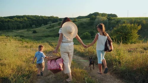Family Walking on Path Towards Picnic Area