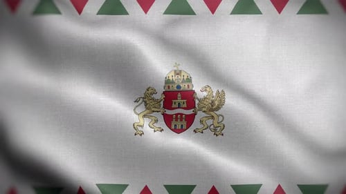 Waving Flag with Detailed Coat of Arms Seamless Loop