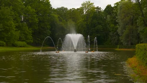A Pond With a Fountain Among the Trees