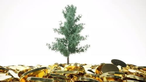 Tree Gold Coins Business Stock Market on White Background