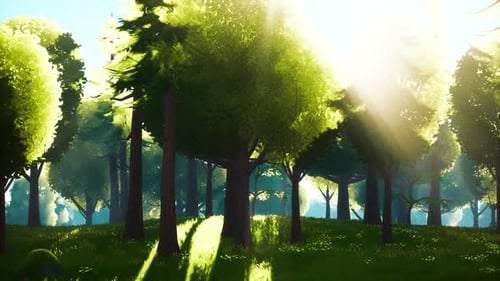 Cartoon Green Forest Landscape with Trees and Flowers