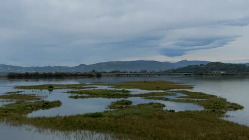 A drone flying across Victoria and Joyel Marshes as numerous birds take flight.