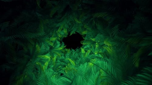 Seamless Green Palm Leaves Tunnel Background Loop