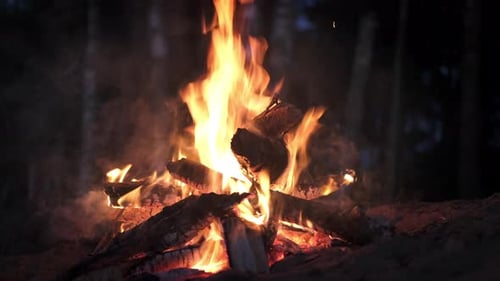 Feu de joie brûlant dans la forêt, des flammes d'automne et des charbons en feu, gros plan sur une plage de sable