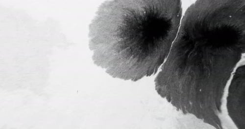 Black Ink Spreading Across White Surface