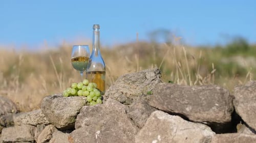 Weingut Ground