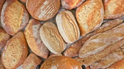 Hands in the Gloves is Holding Bread