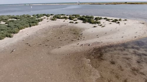 Aerial Shot of Curvy Swashes at the Black Sea Shore with Flying Gulls in Summer