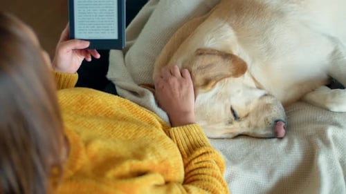 Person Reading with Pet Dog on Couch