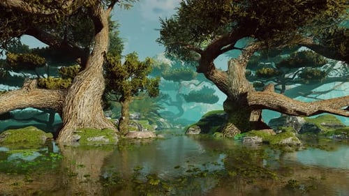 Fairy Forest