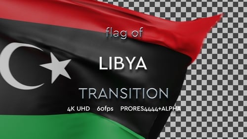 Realistic Waving Flag 3D Animation with Alpha Channel