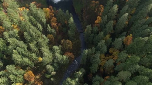 Aerial view looking down toward river going up stream to waterfall