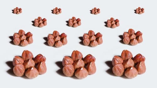 Shelled Hazelnuts in Groupings on White Background