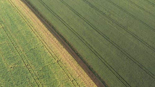 High above road in the middle of agricultural field 4K drone video