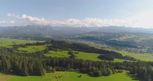Survoler les magnifiques arbres de la forêt. Panorama du paysage