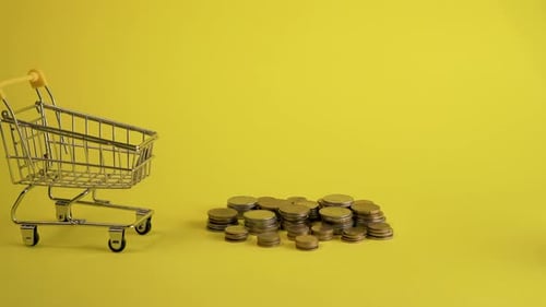 Shopping Cart Carries Money