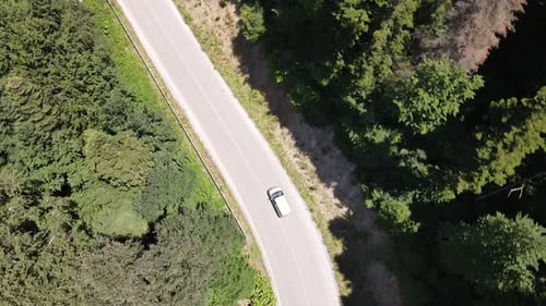 Auto Reisen Wald