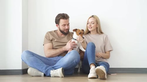 Loving Couple Playing with Dog at Home