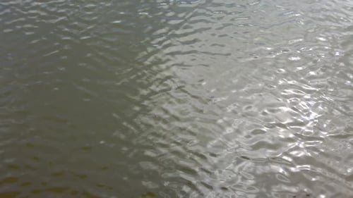 Water Ripples on Murky Water Surface