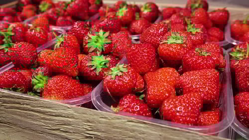 Fresh Red Strawberries in Wooden Crate