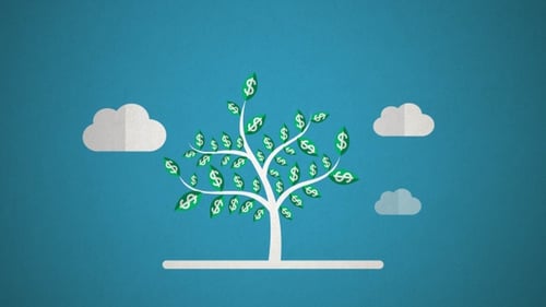 Money Tree Growing Dollar