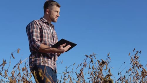 Farmer Using Tablet in Rural Field on Sunny Day