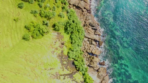 Nature beach