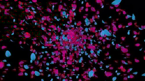 Dynamic Pink and Blue Petals Burst Transition Overlay
