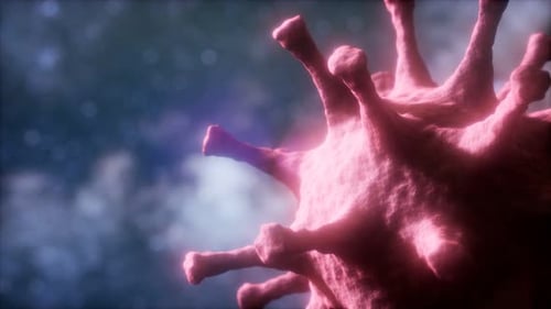 Virtual Representation Macro Model of Novel Coronavirus COVID-2019