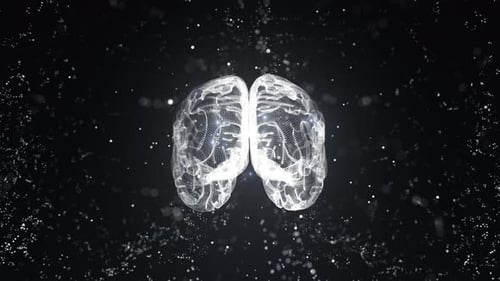 Digital Human Brain Wireframe Rotating with Abstract Particles