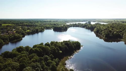 Scenic Lake Surrounded by Lush Green Forest