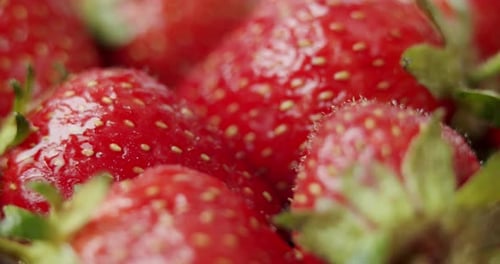 Fresh Strawberries, Rotating Slowly. Close Up.