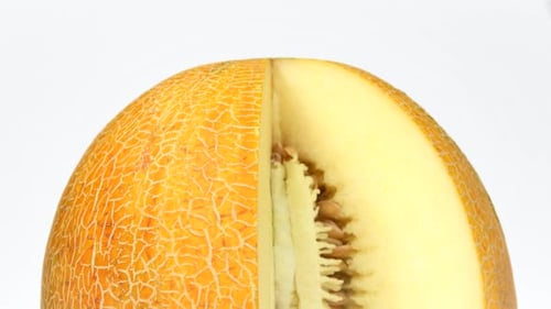 Melon rotating on white background