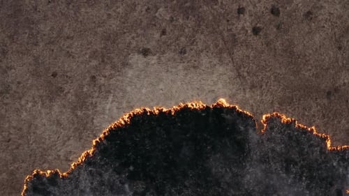 Natural Disaster, Fire Burns Dry Grass in the Field, Destruction of Nature. Epic Aerial Photography