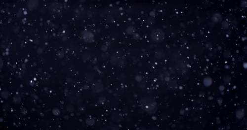 Schnee