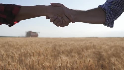 Farmers Handshake in Golden Wheat Field During Harvest