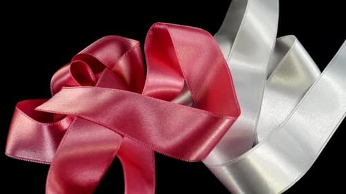 Satin Ribbon 4