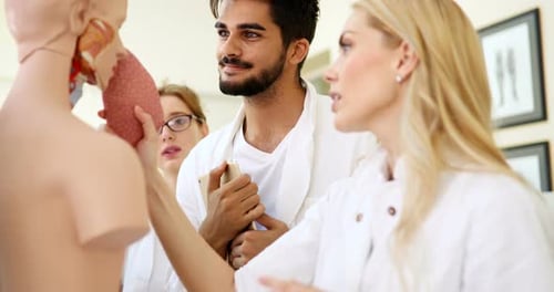 Medical Professionals Discuss Anatomy in a Bright Office